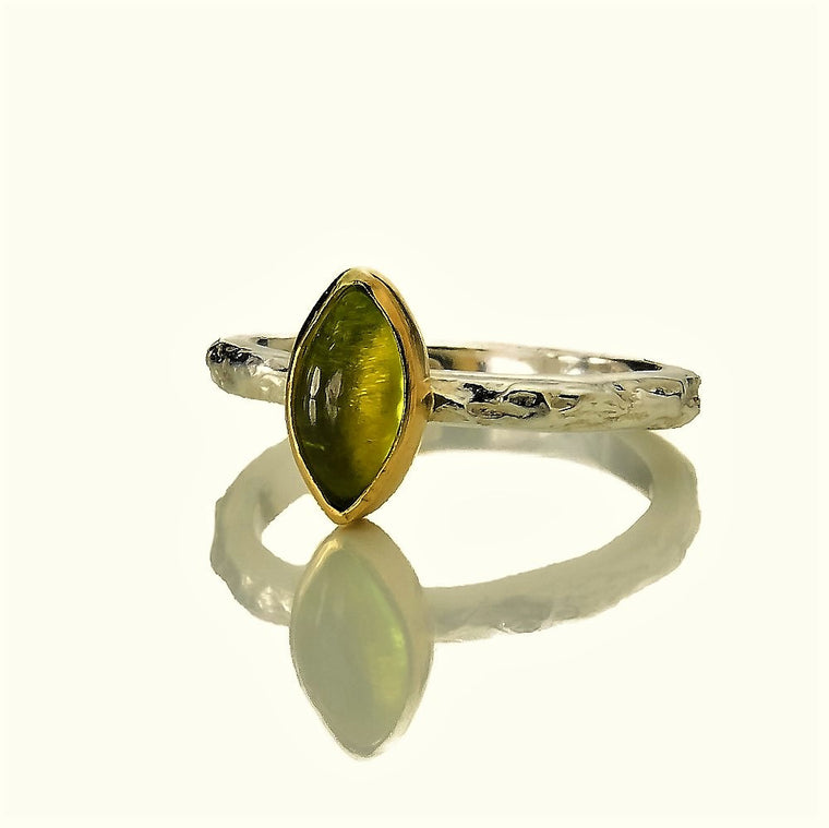 Textured silver treasure ring featuring a solid gold bezel set Peridot